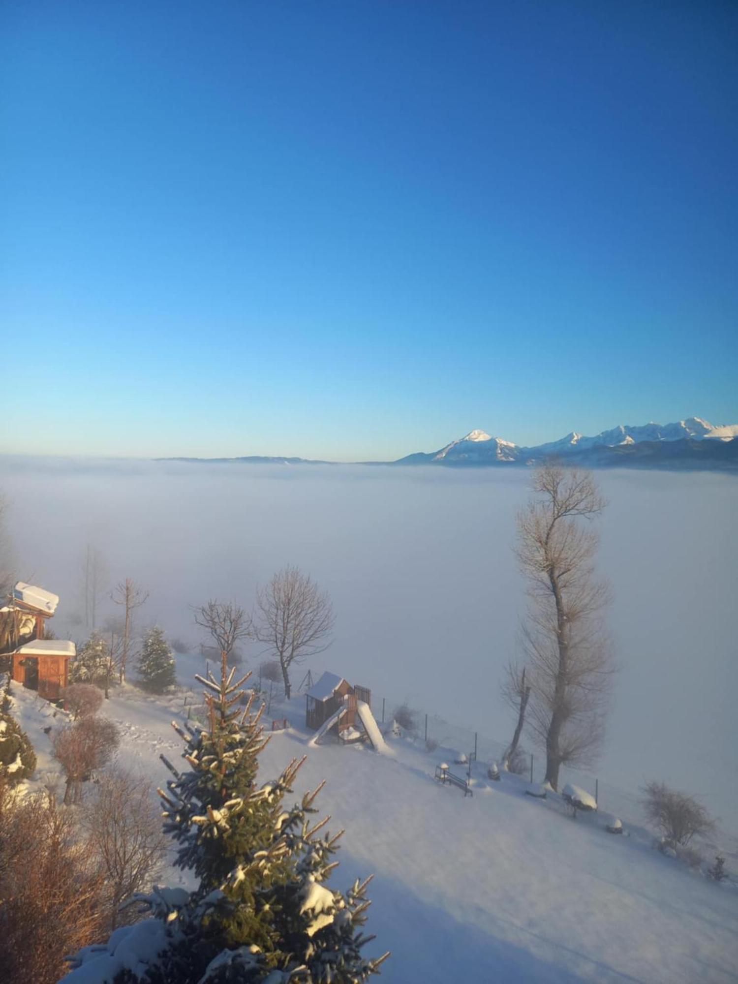 Ferienwohnung Widokowy Zakatek U Kamila Zakopane Exterior foto